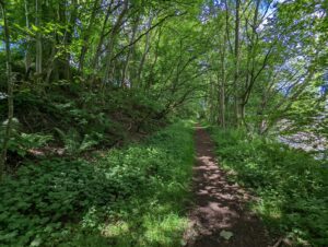 Land To The North of Rainy Close, Westgate