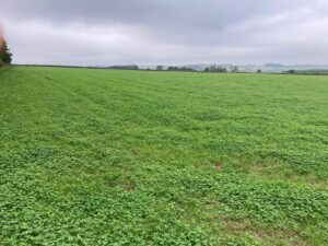 Land at Ivesley Lane, Waterhouses