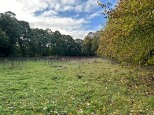 Land at Over Dinsdale, North Yorkshire